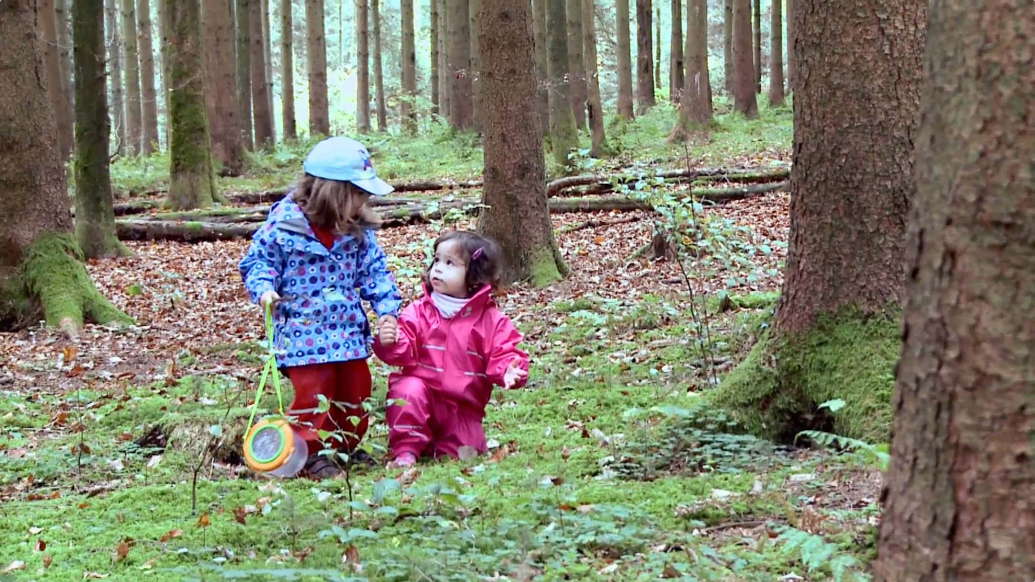 Vorschaubild für Film Mains