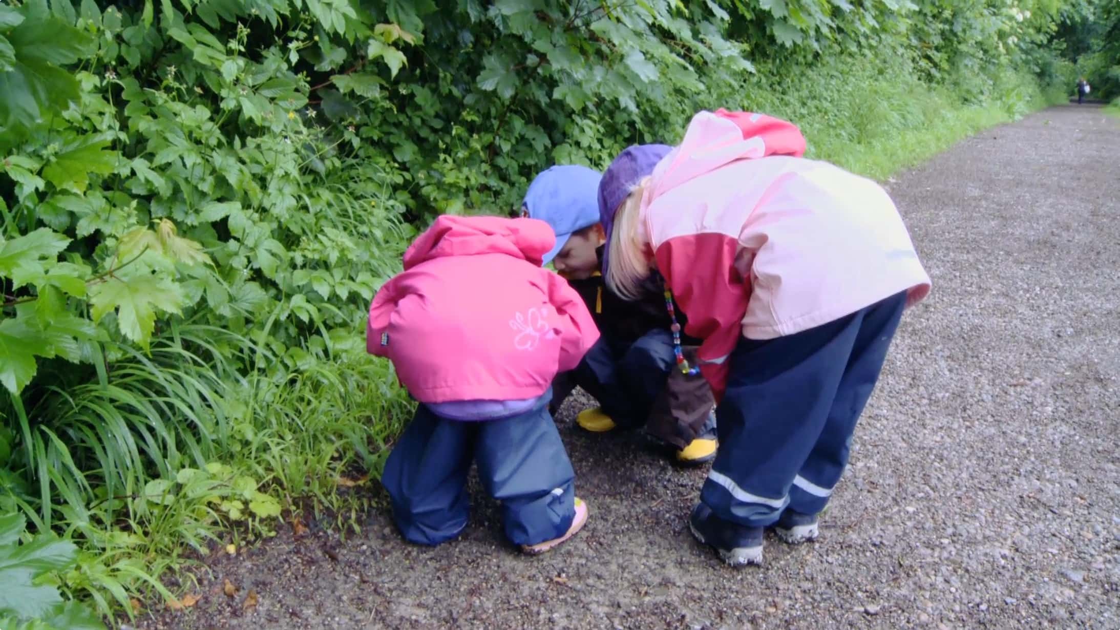 Vorschaubild für Film Sur le chemin